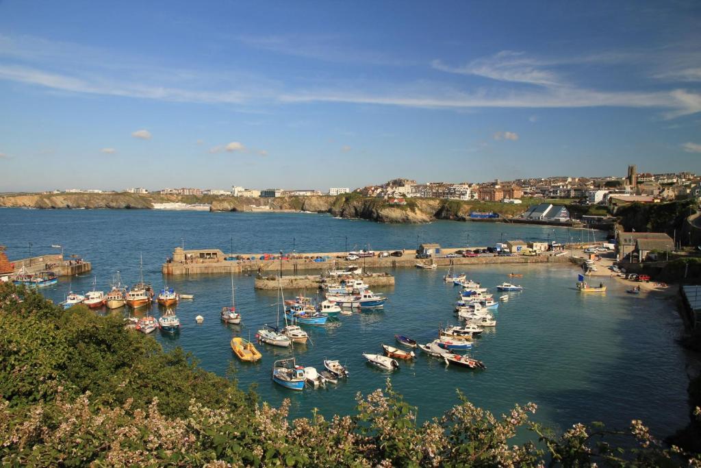 Wenden Guest House New Quay Dış mekan fotoğraf